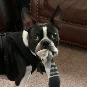 Meet your Posher, Jen